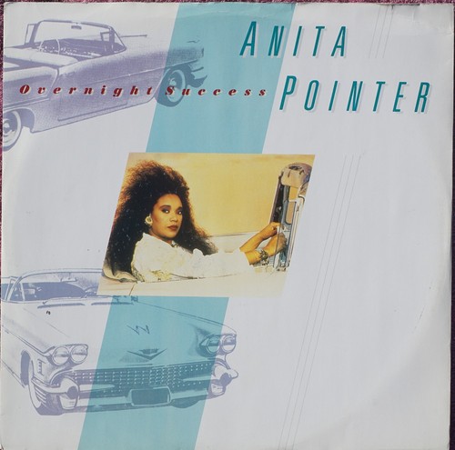 Anita pointer overnight - anita,